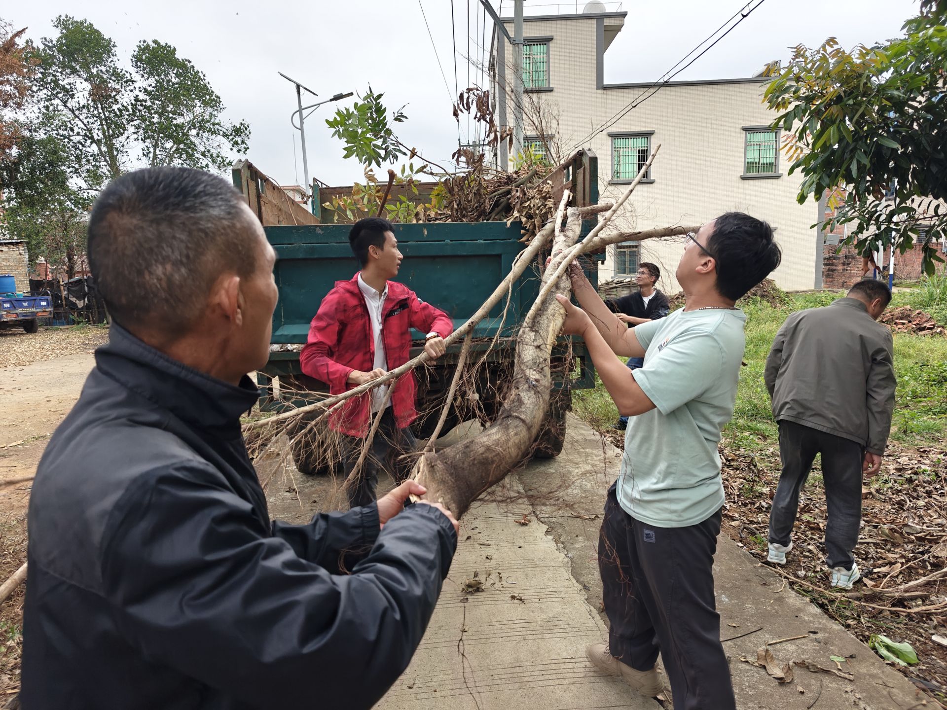 遂溪岭北镇开展环境卫生集中整治行动