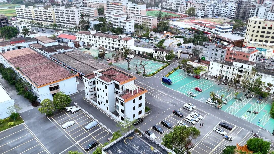 10月22日 (1)(5).jpg