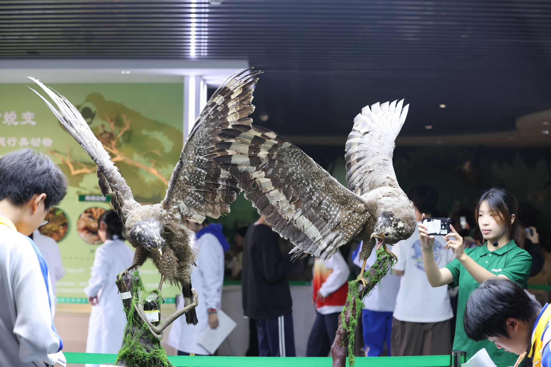 “煥新”亮相！嶺師生物科普館成市民周末熱門“打卡地”
