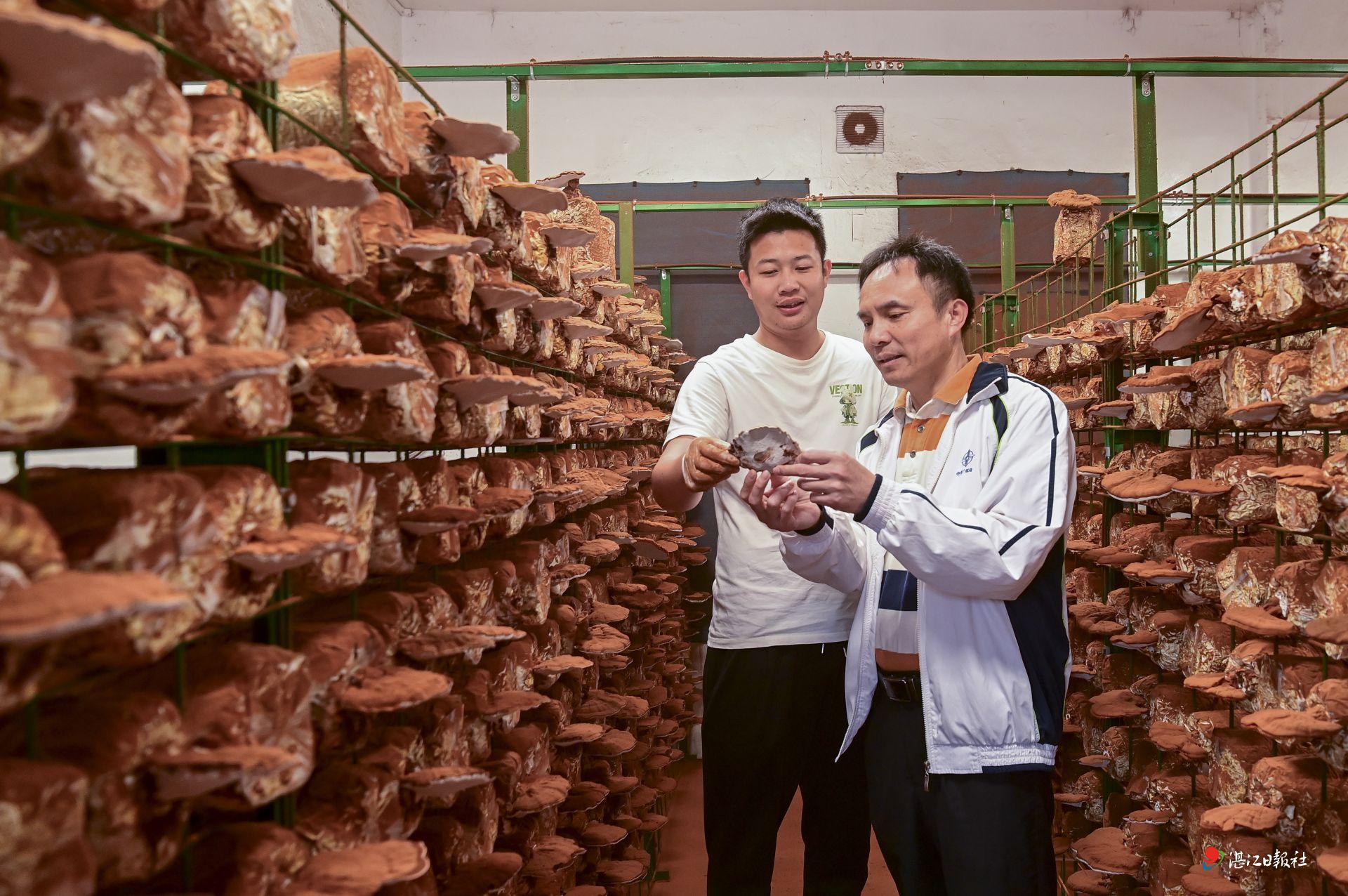 遂溪：盘活闲置校舍 释放发展活力