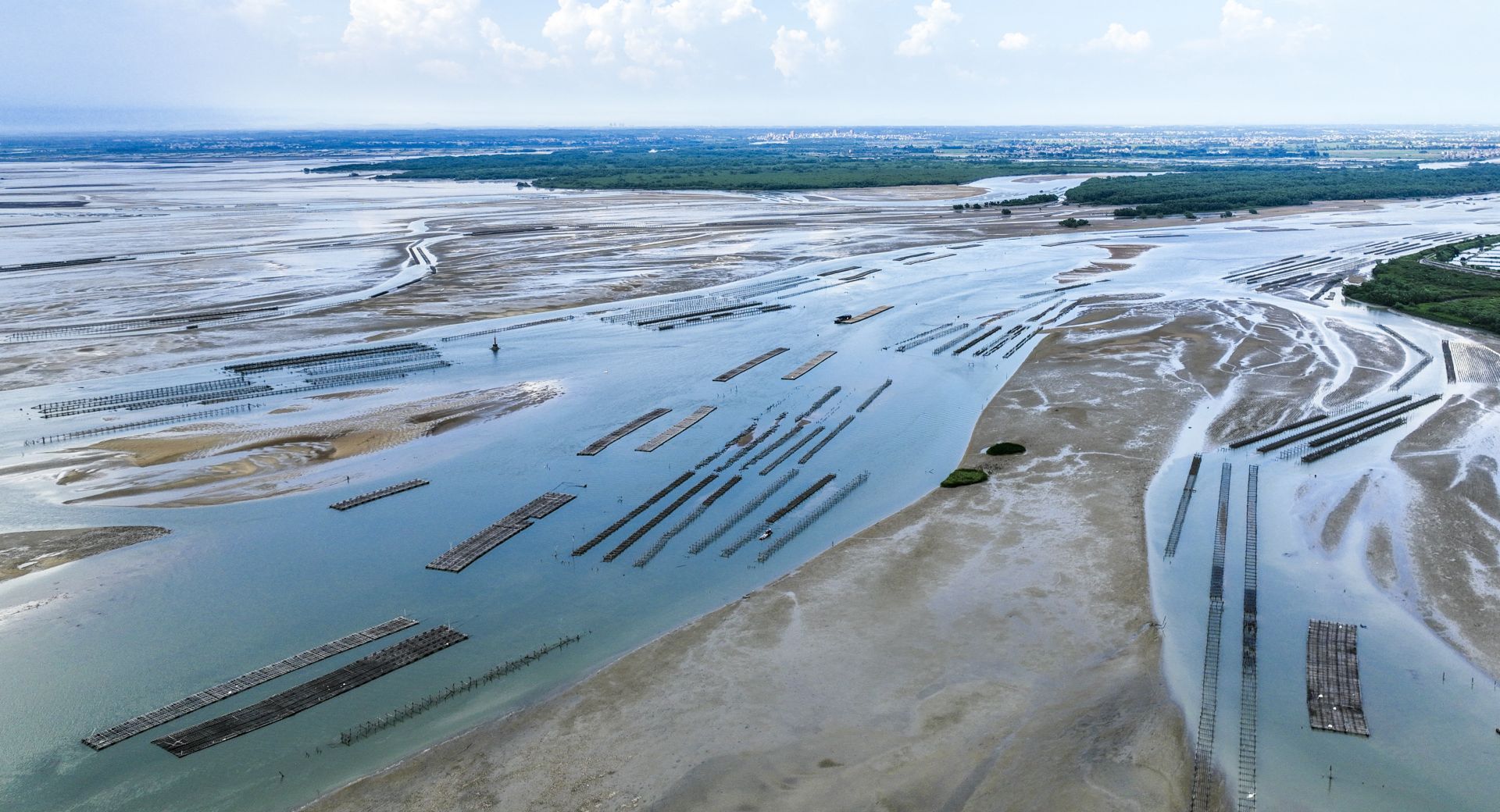 遂溪界炮鎮(zhèn)打造文旅新名片