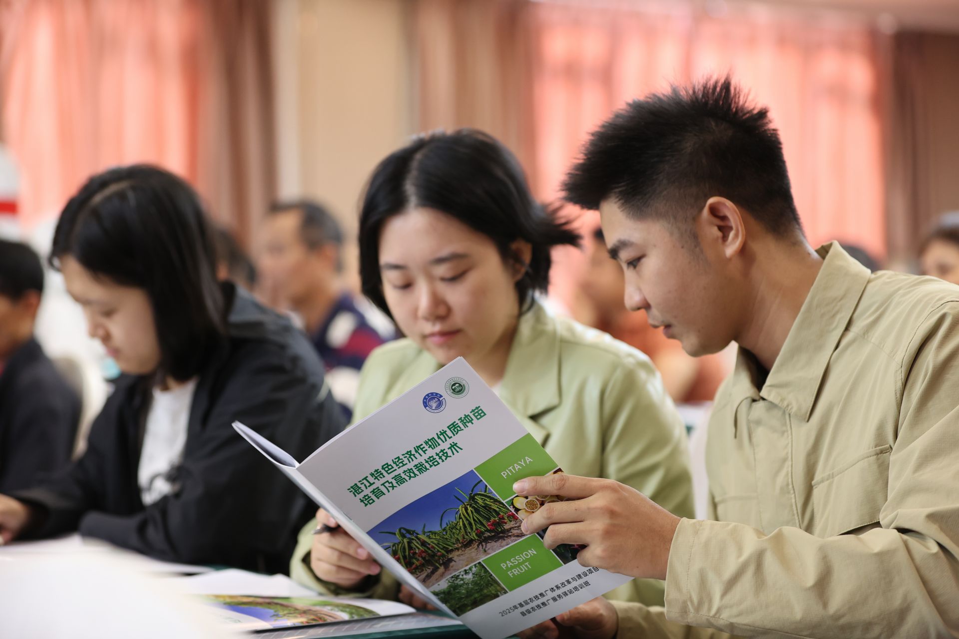 聚焦吴川特色水果产业培育 助农增收