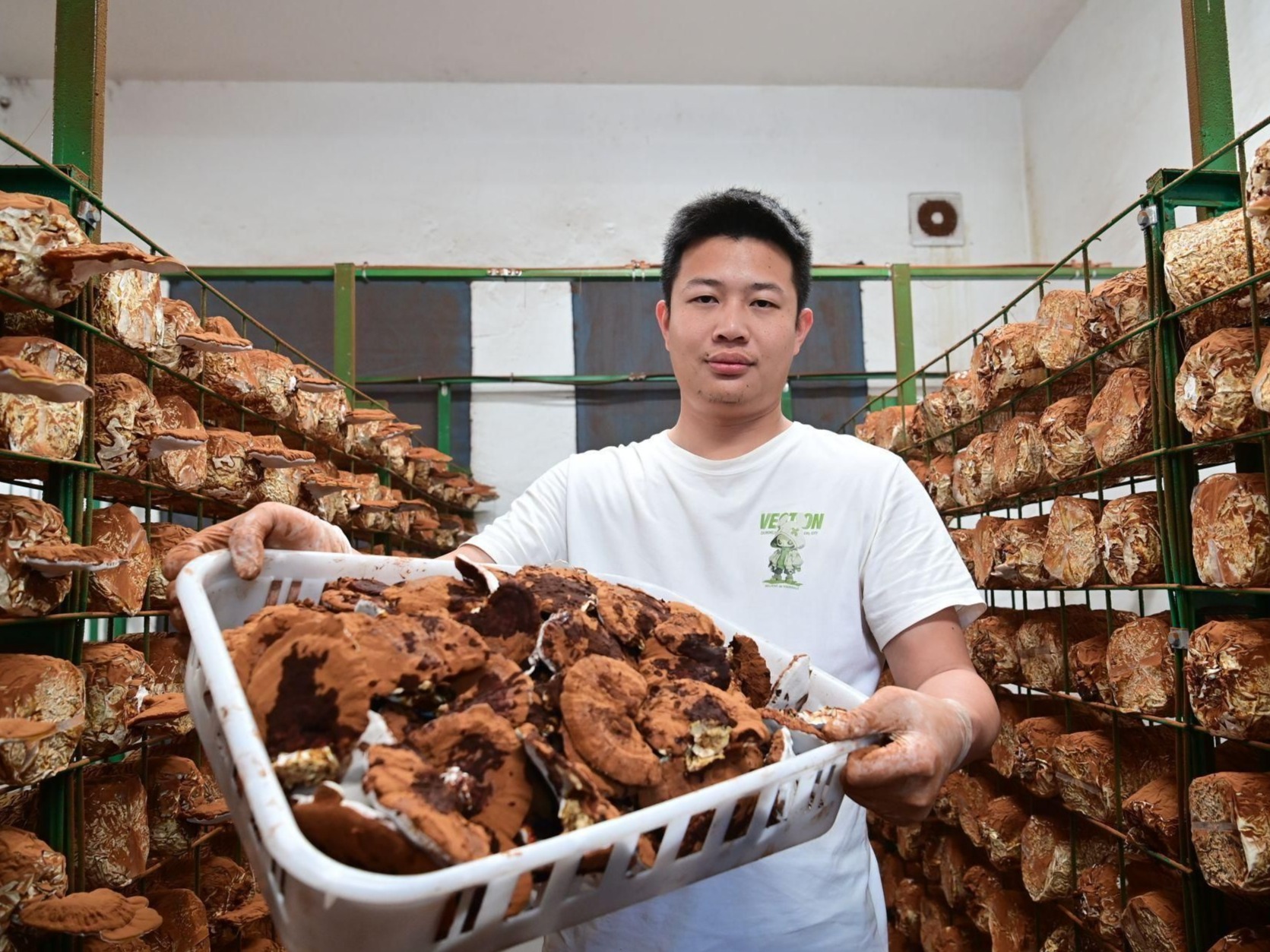 “产业+民生”双轮驱动!驻遂溪界炮镇工作队书写帮扶新答卷