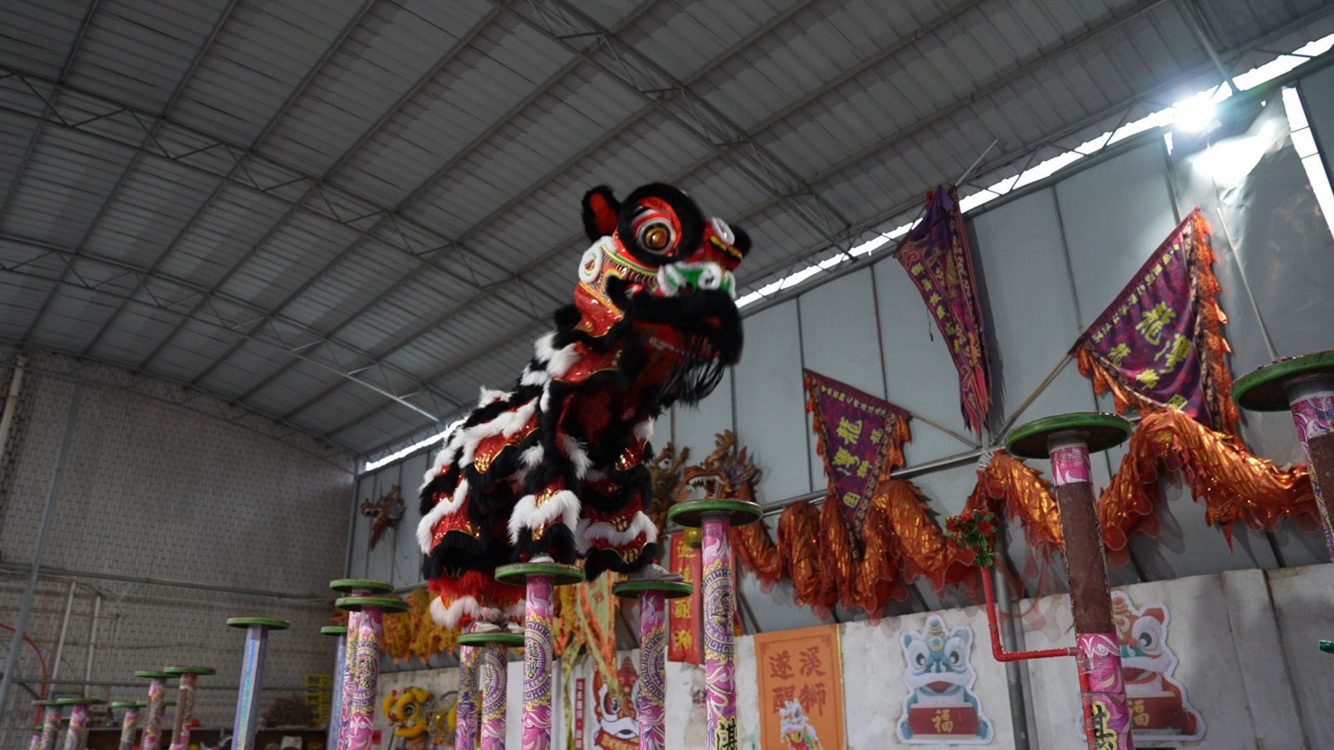 遂溪醒狮:从乡间起舞到世界舞台的非遗传承之路