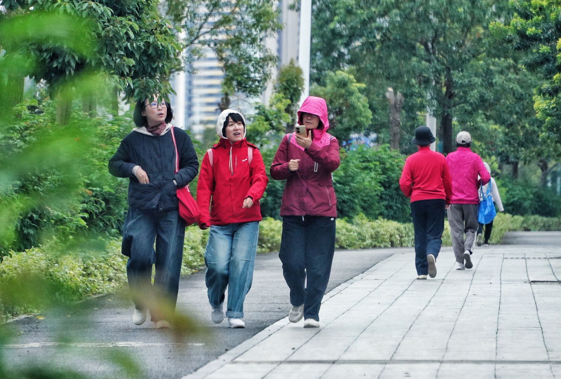 赤坎区海丰路市民添衣忙 未来一周暖晴回归