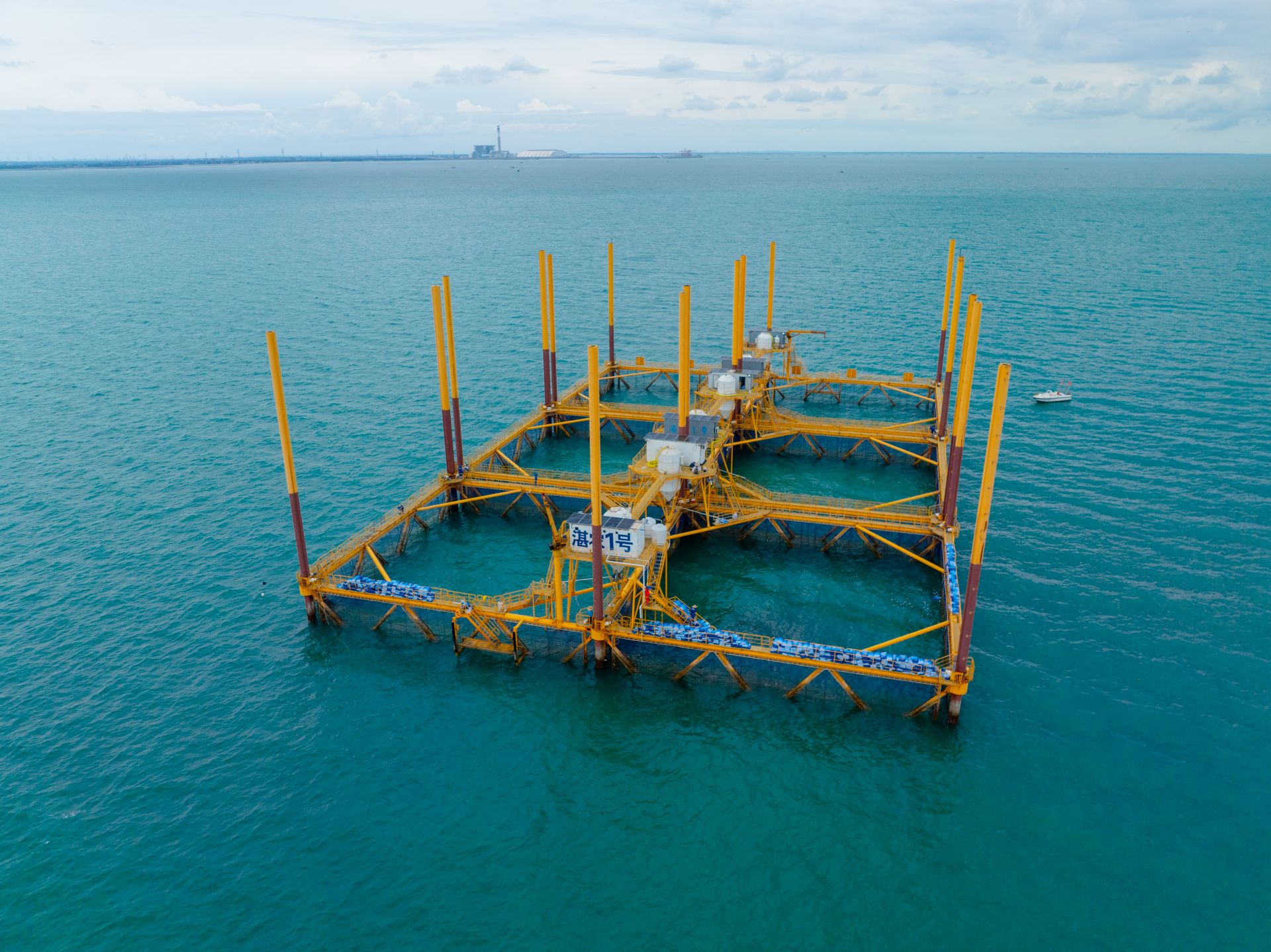 我市政企协同绘就新图景