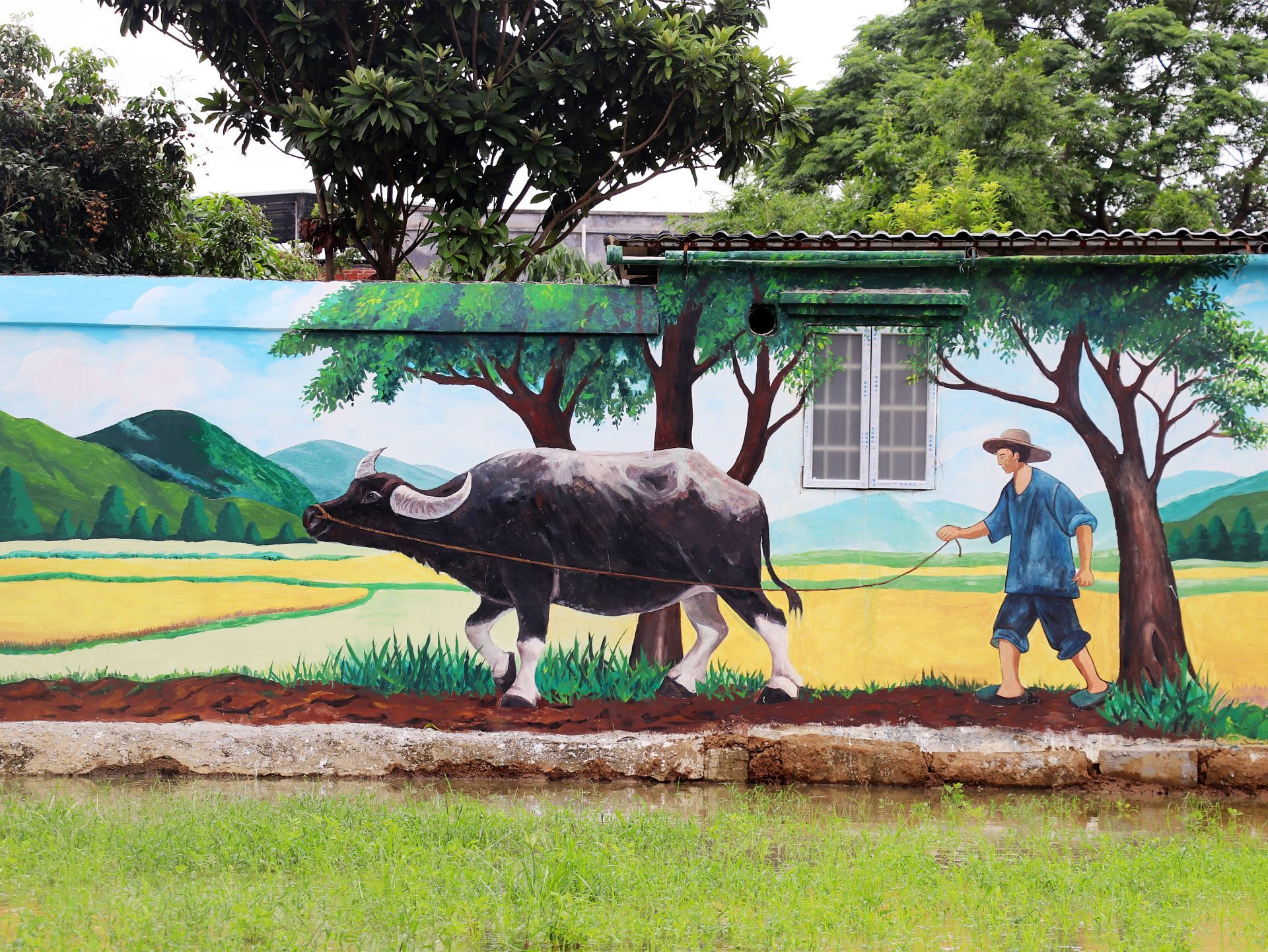 三年實干  廉江“百千萬工程”擘畫全域振興“大寫意”