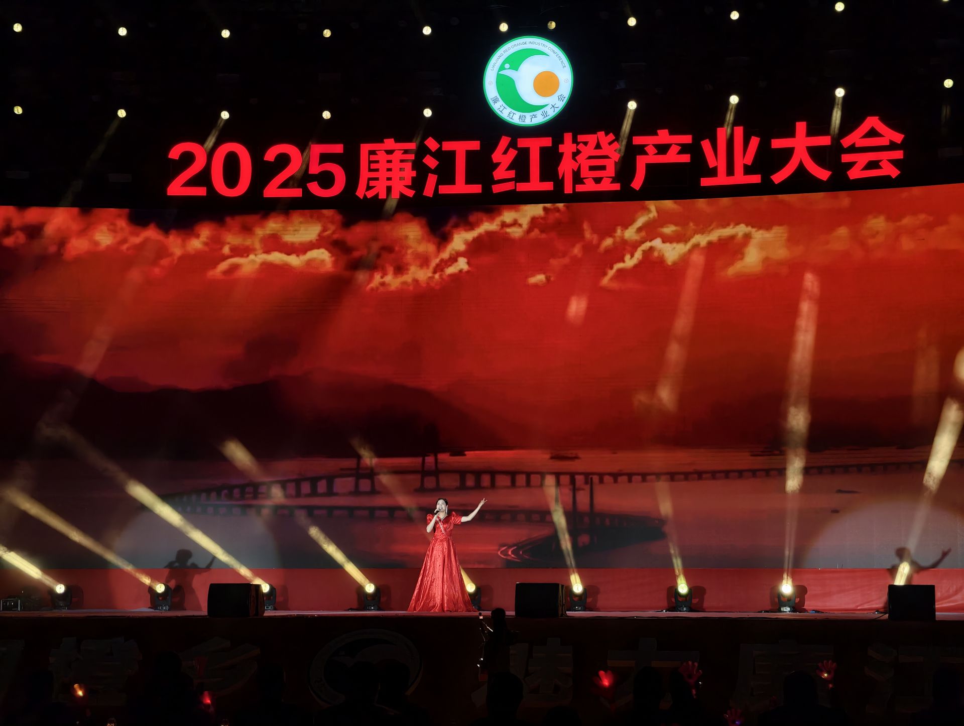 橙乡夜宴启幕 廉江红橙产业大会配套晚会燃动全城