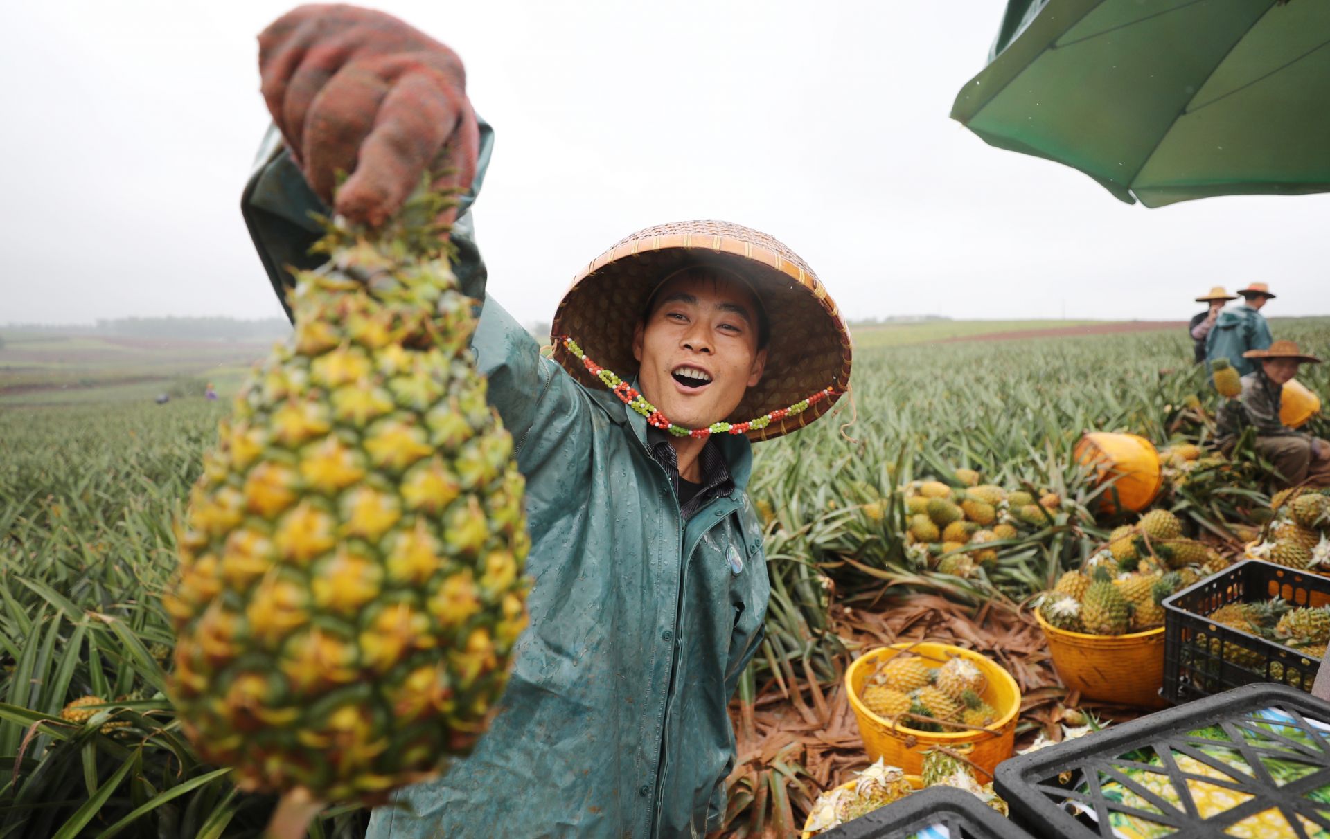 振兴画卷里的年度关键词