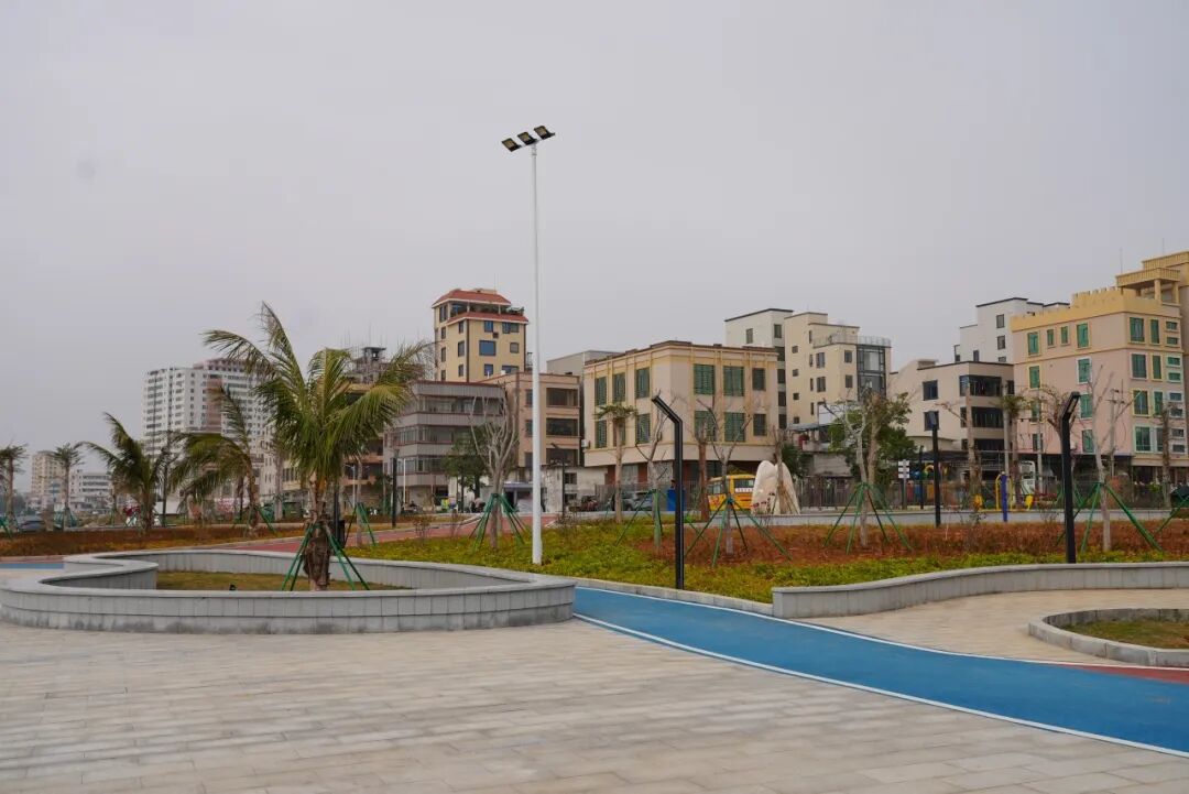 DSC06629.JPG