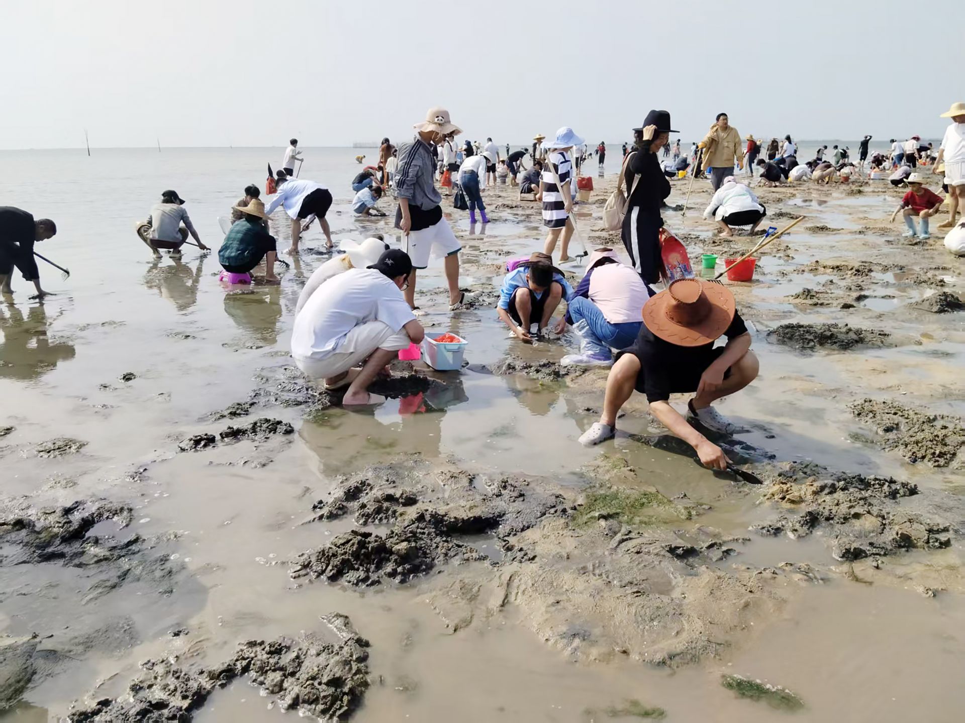 新春遂溪草潭赶海热