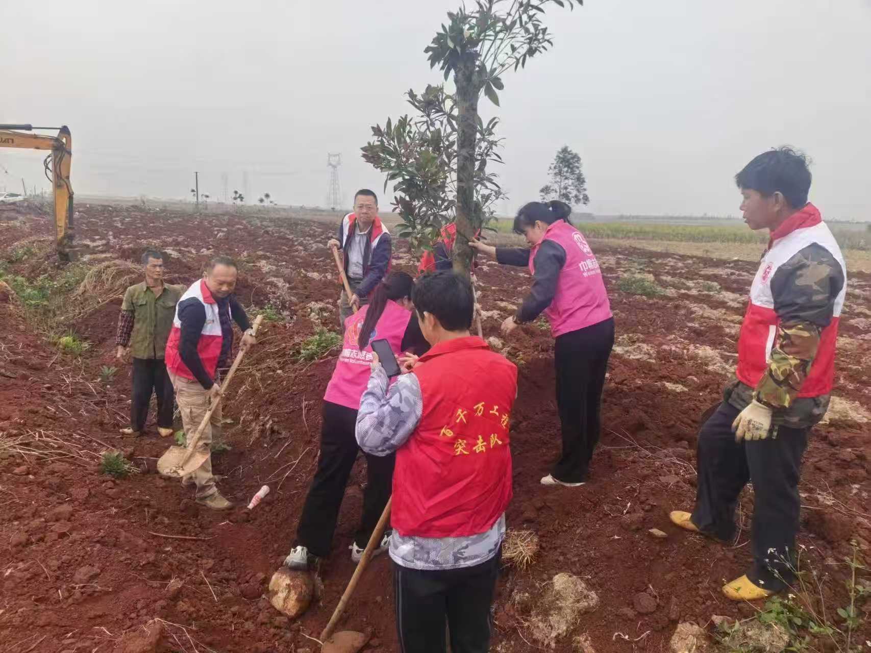 植树增绿 助力振兴