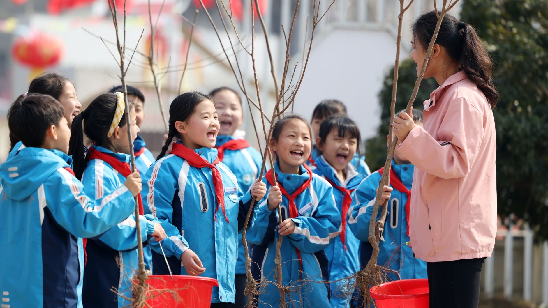 春来植树添新绿