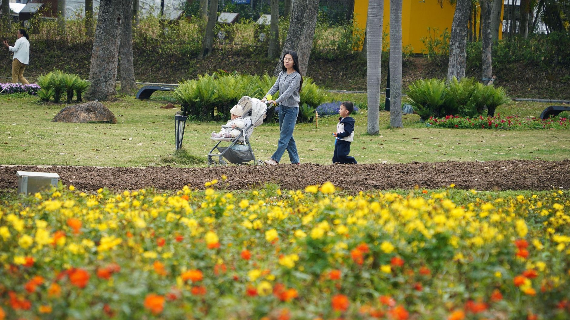 阴雨暂歇暖阳归 湛江市民公园享春光