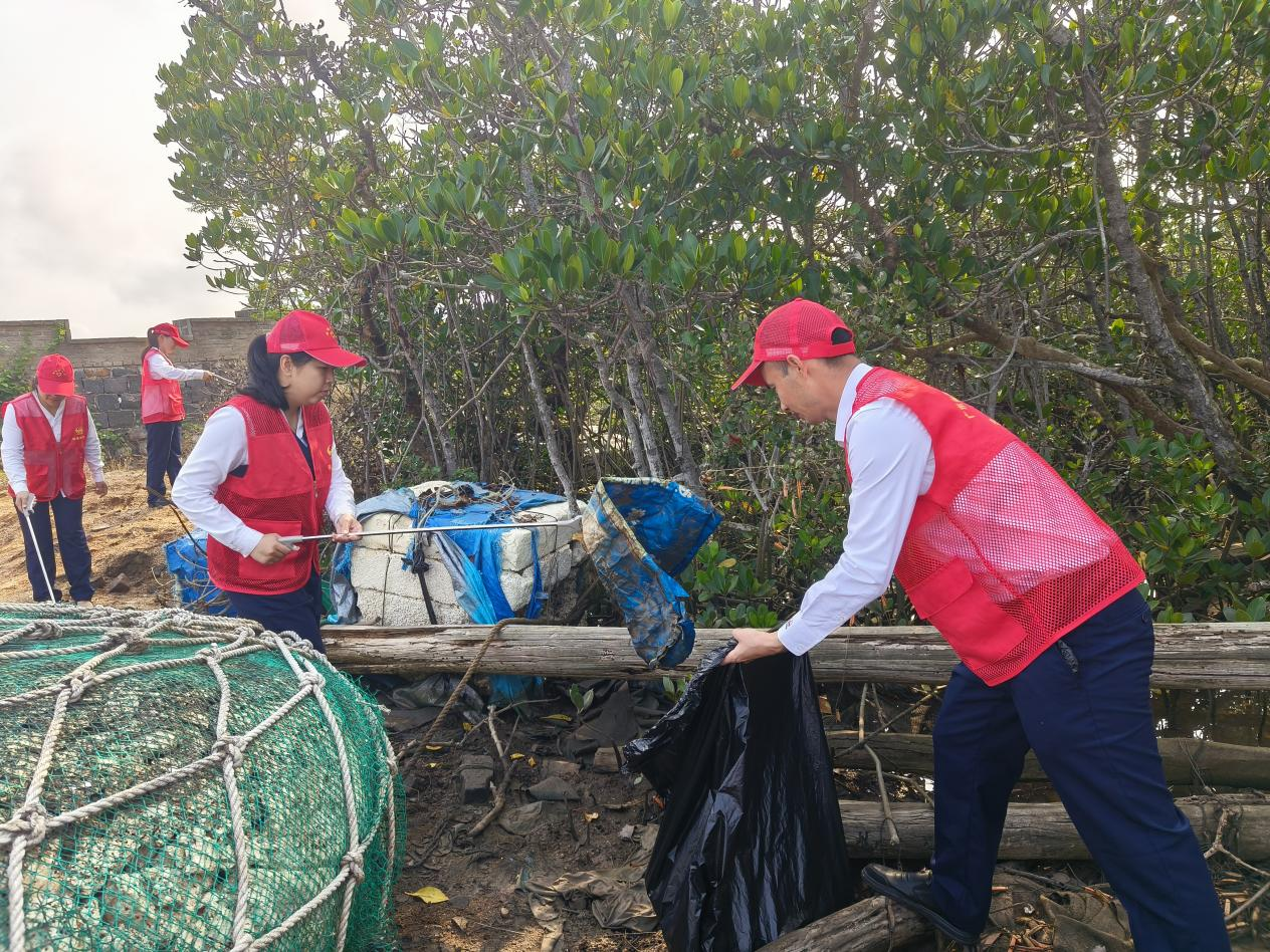 学雷锋做志愿 共植新绿筑家园