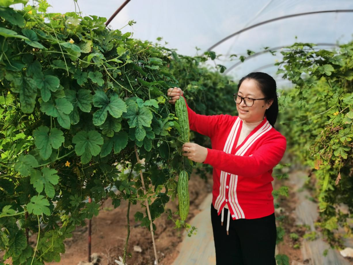 湛江深入实施省妇女创业小额担保贷款贴息项目，3年发放创业贷款近2.7亿元