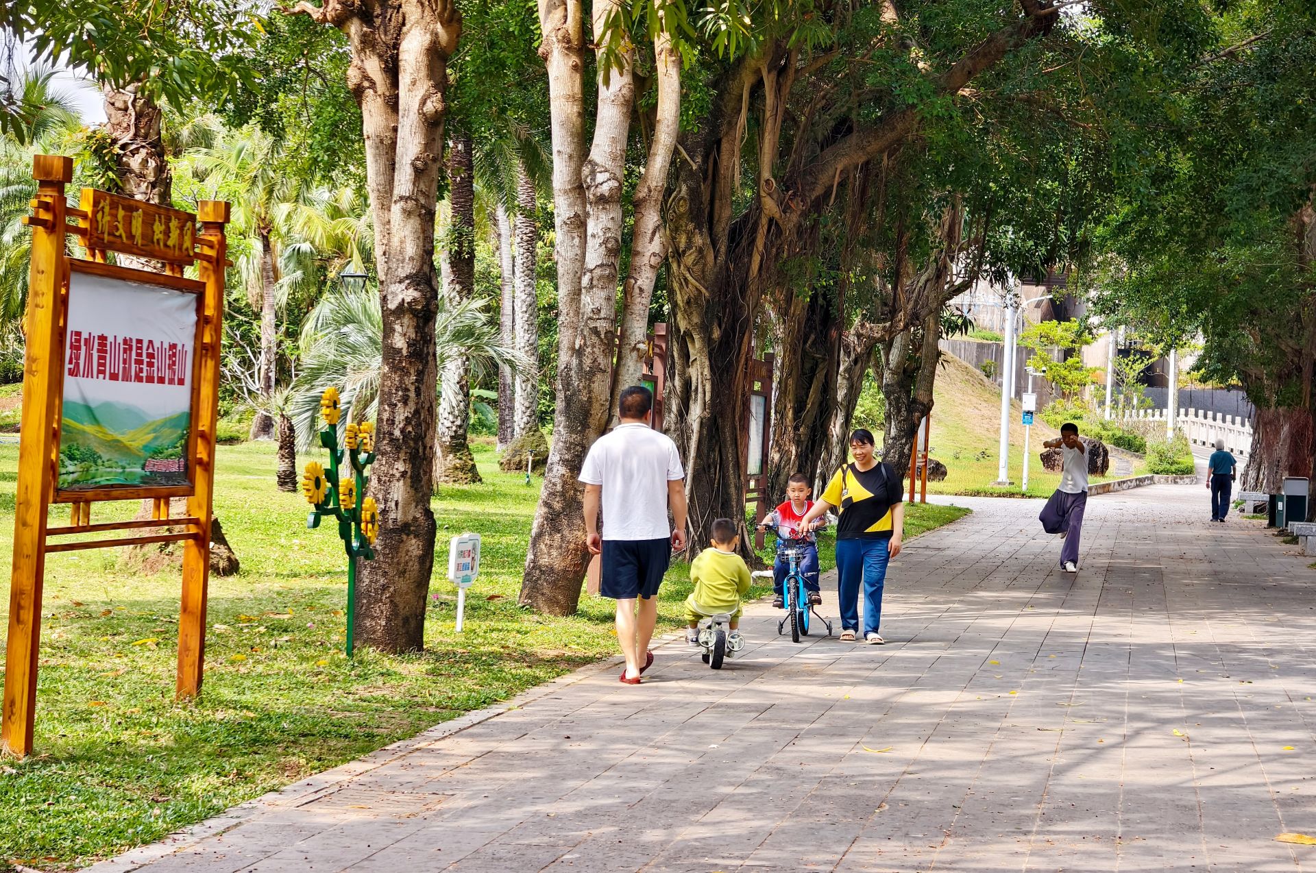 赤坎区南桥公园：河畔绿意涌动健身热潮