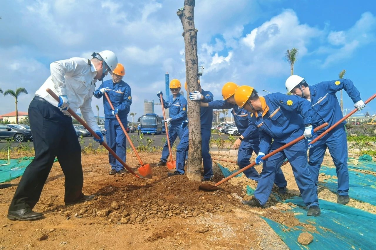 湛江钢铁零碳码头添新绿 厂区十年累计植绿约11万株