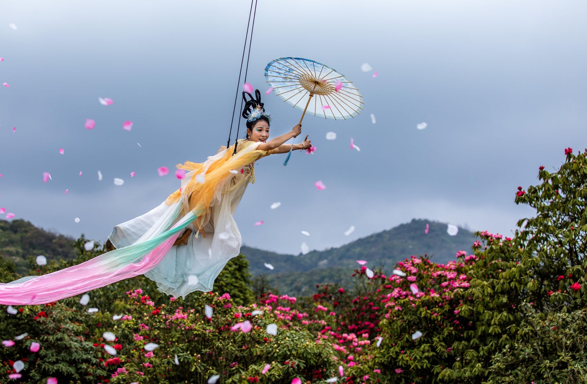 几日春风又春雨  杜鹃依旧映山红
