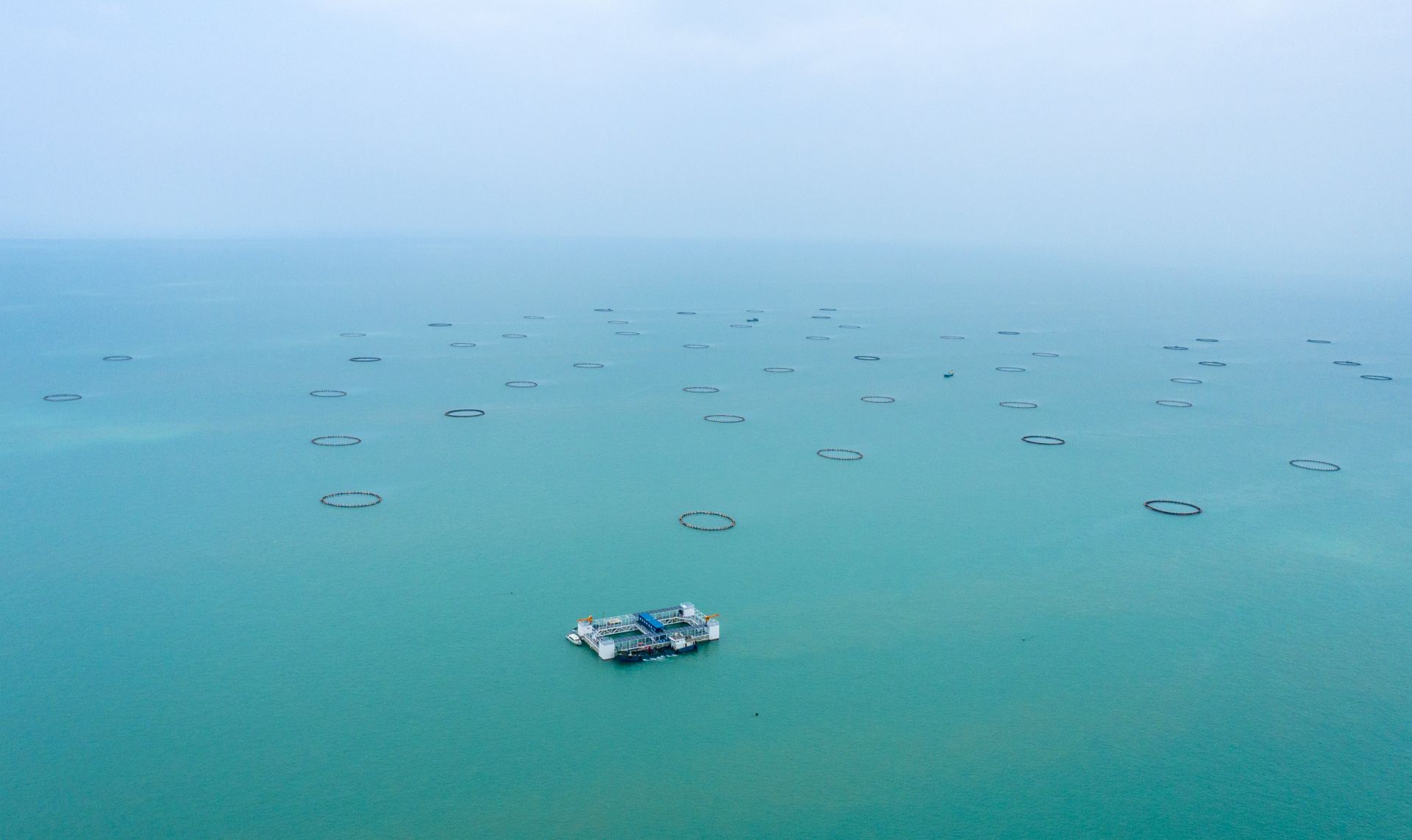 人民日报聚焦湛江现代化海洋牧场