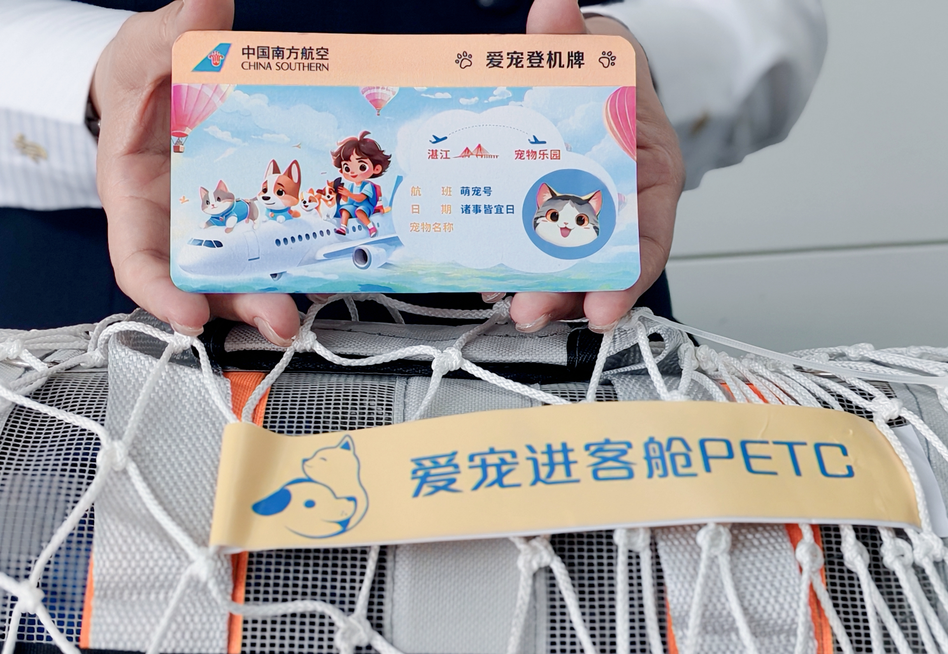 宠物也能坐飞机啦！湛江吴川国际机场上线暖心服务