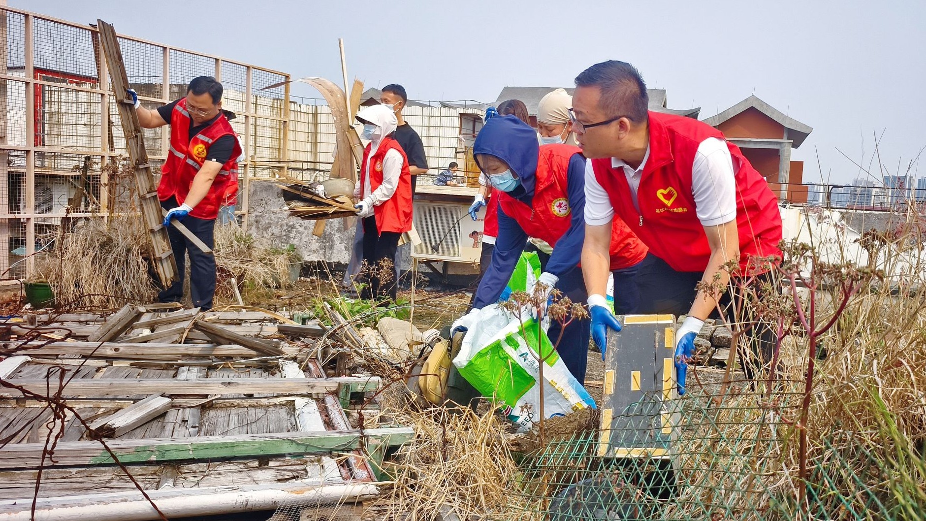 科技系统党员干部带头“扫”出新风尚