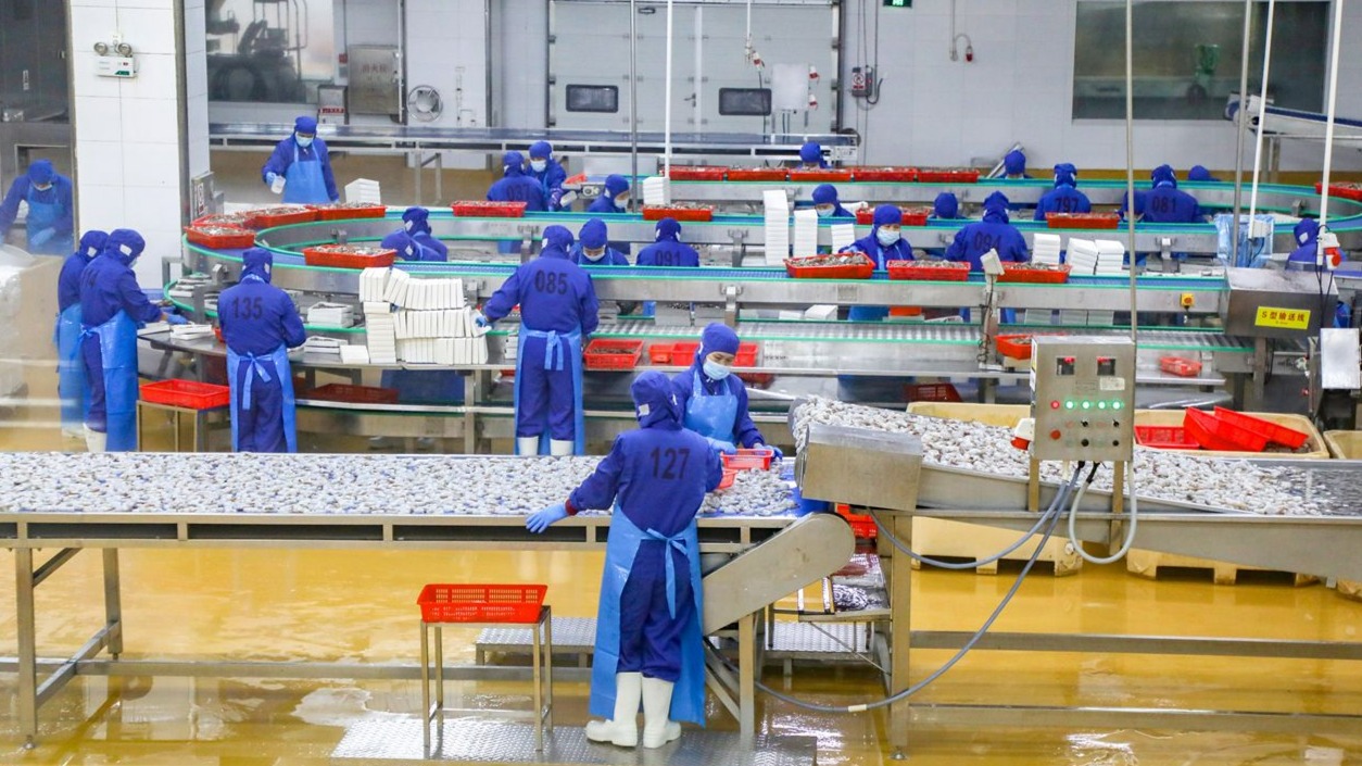 湛江5品牌上榜2026中国水产行业百强 两企跻身全国前十