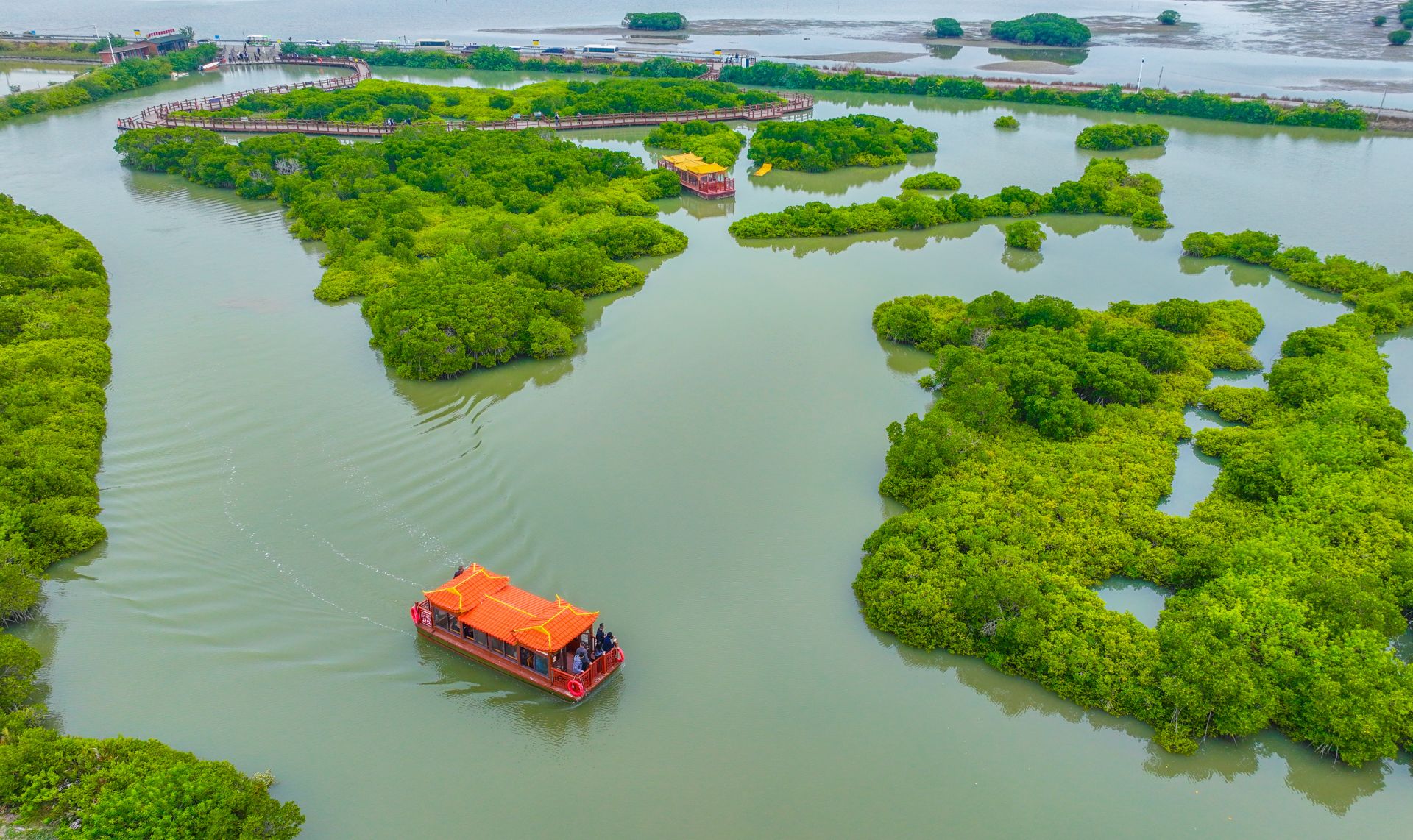 红树织青翠 绿美映湛江