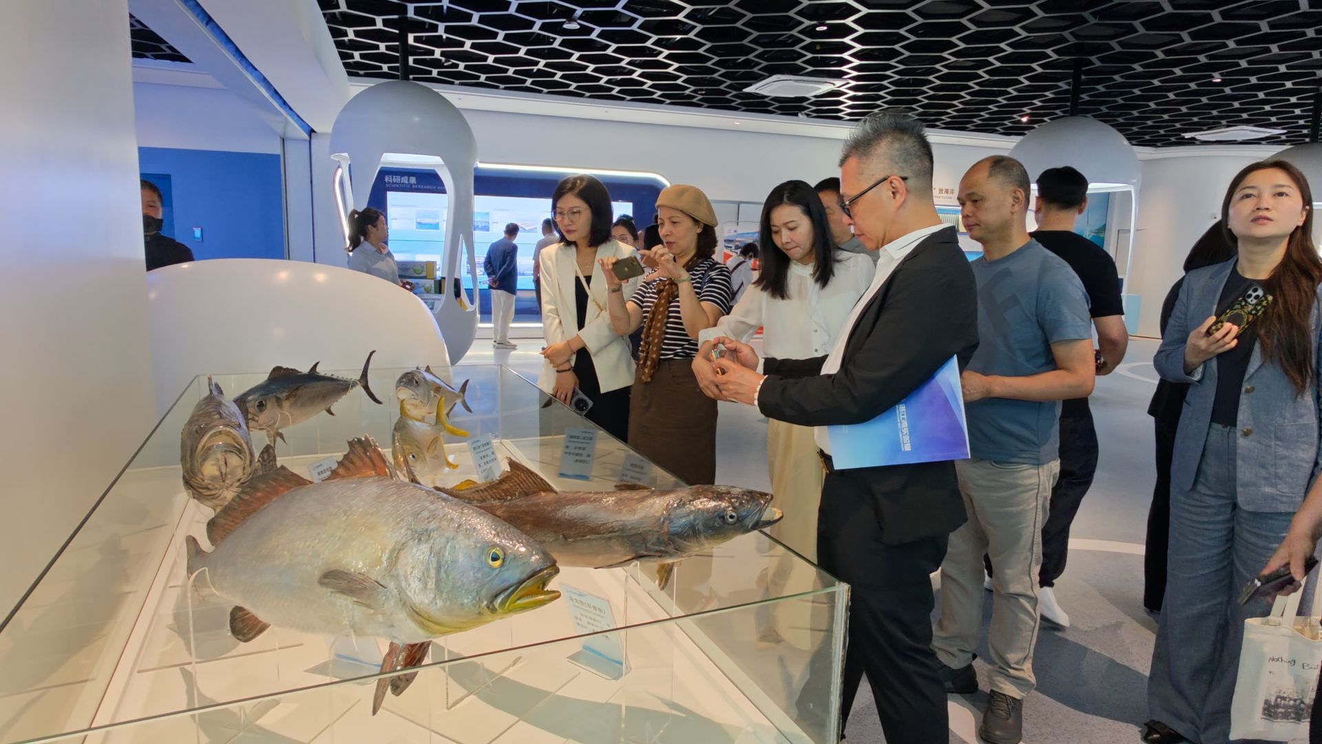 鲜从海上来 味自湛江湾&nbsp;&nbsp;全力打造湛江海鲜高端宴席标杆