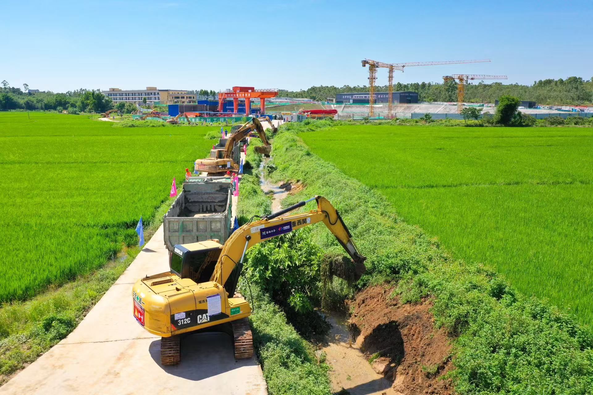 党建引领“发动群众共建美好家园‘七项行动’”走深走实