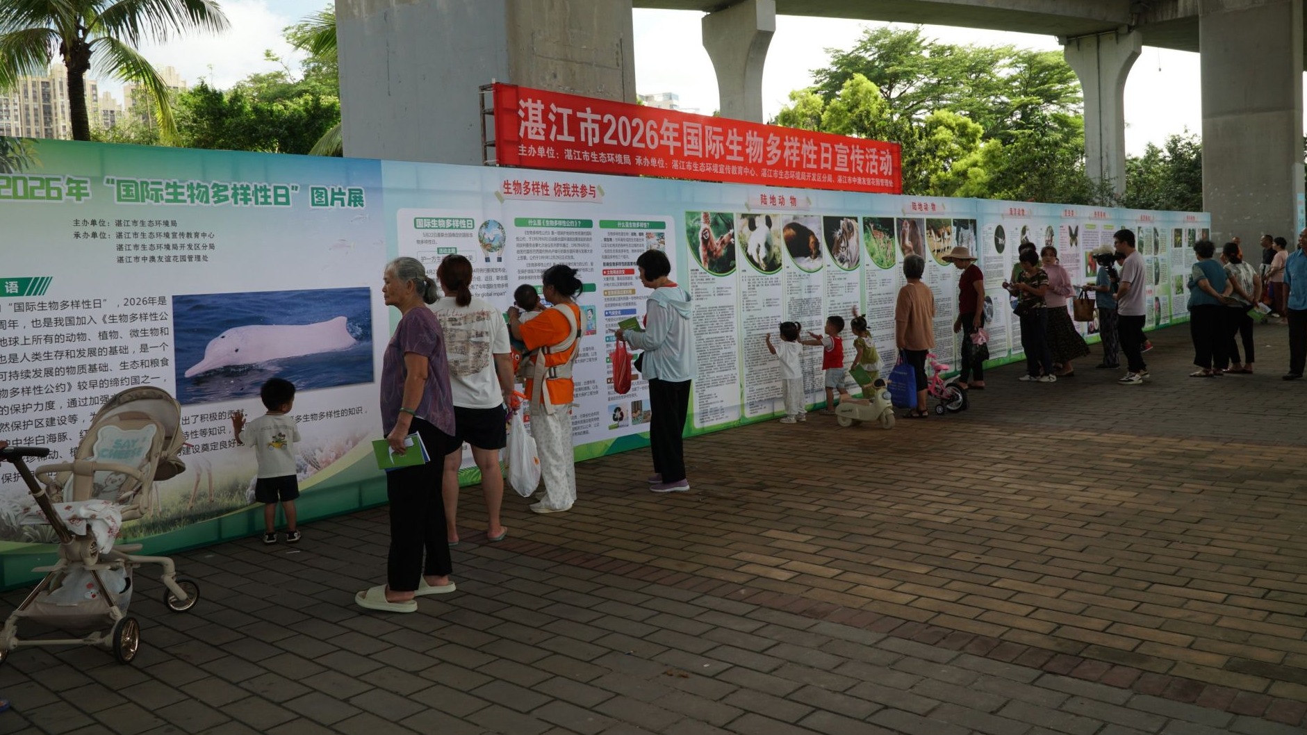 我市开展国际生物多样性日主题宣传活动