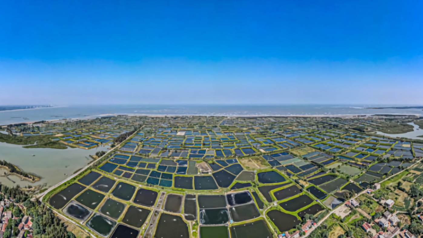 湛江市扎实推进海洋生态环境监管治理