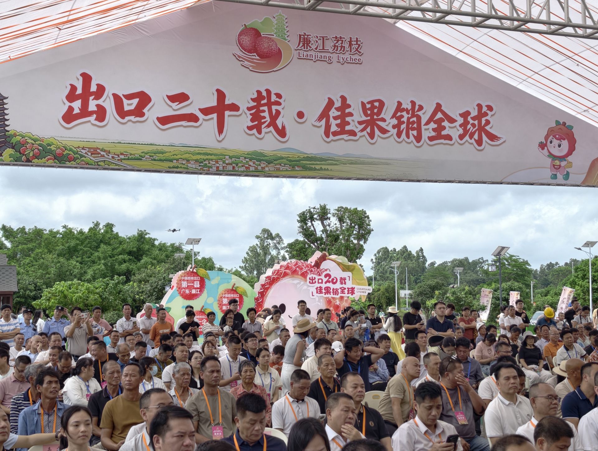 给“荔”全球！中国荔枝出口第一县廉江20年累计出口荔枝超6万吨