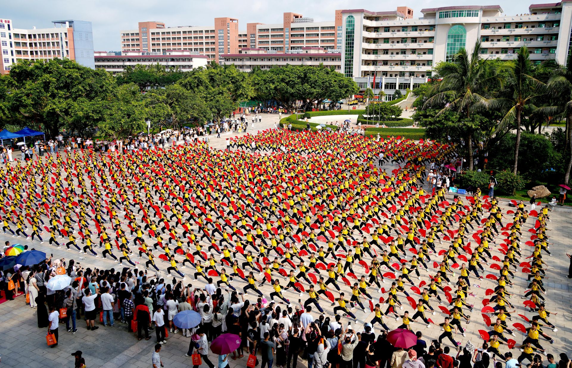 湛江市少林学校家长开放日活动好评如潮