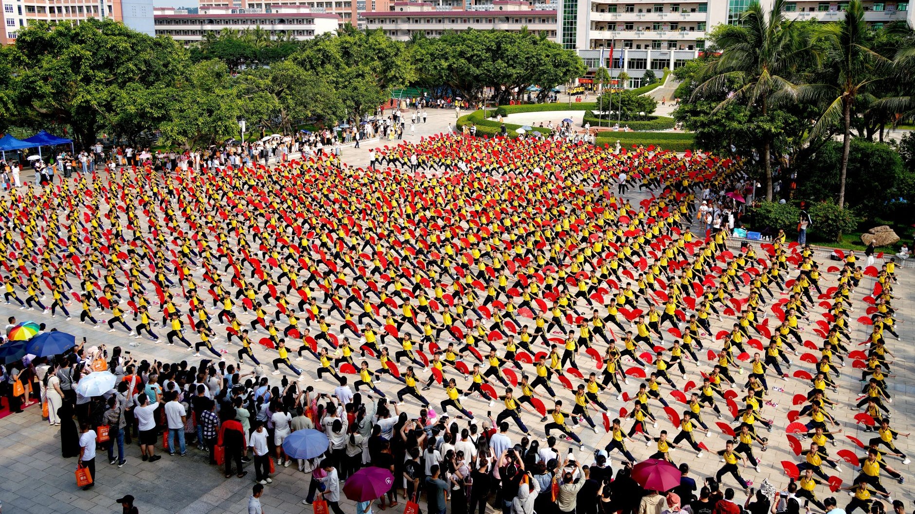 湛江市少林学校家长开放日活动好评如潮