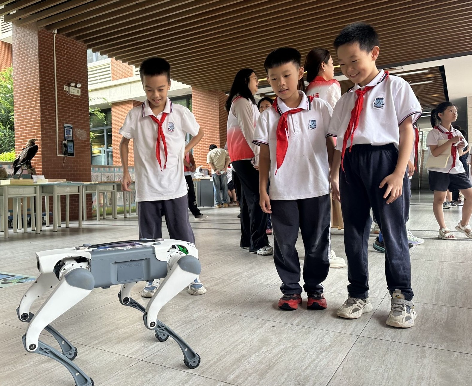 科技科普进港城 &nbsp;“三下乡”服务再升级