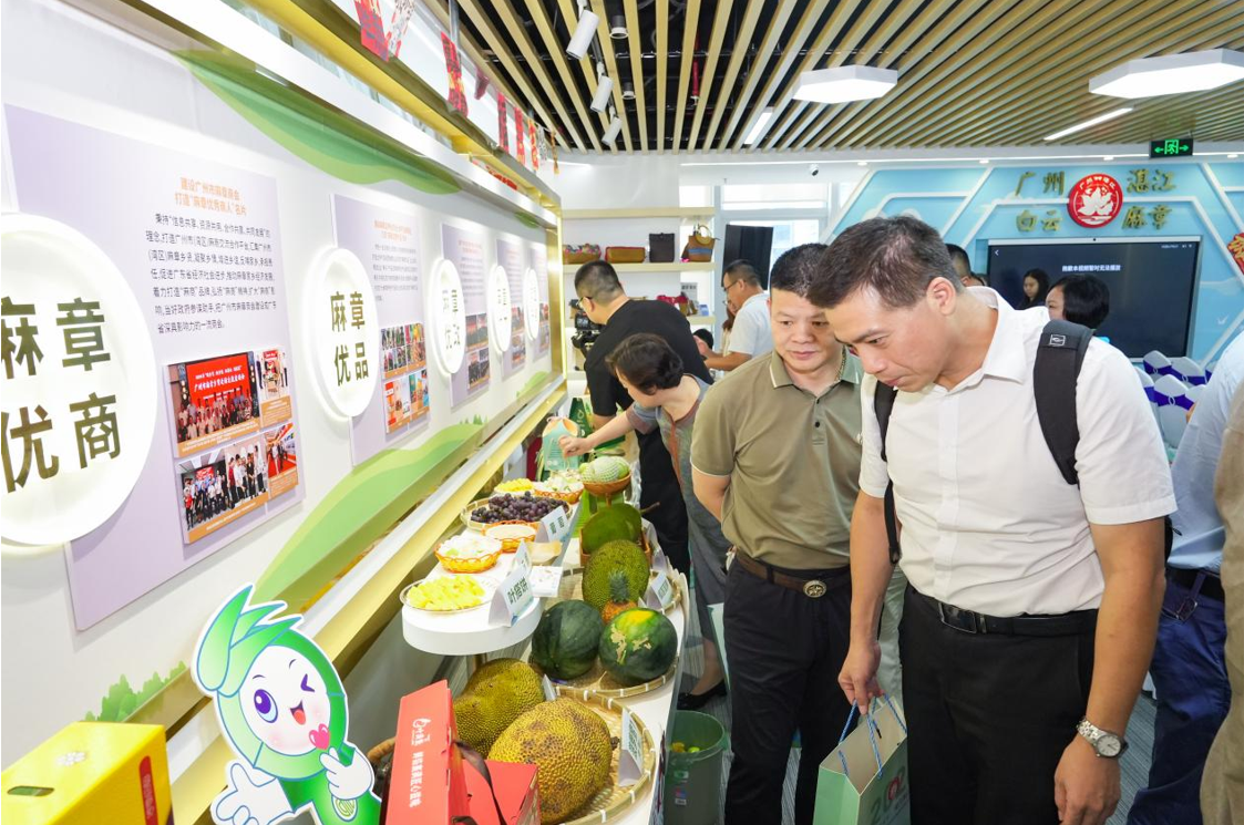 白云麻章携手开展文旅推介：4项合作签约 5条夏季精品旅游线路发布