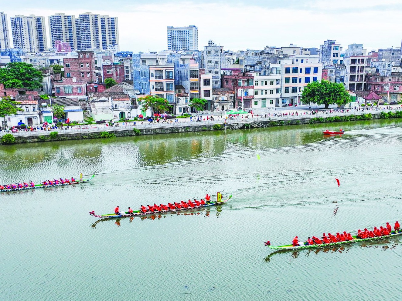 龙舟竞渡文脉赓续 文旅赋能古镇焕新