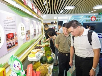 白云麻章携手开展文旅推介:4项合作签约 5条夏季精品旅游线路发布