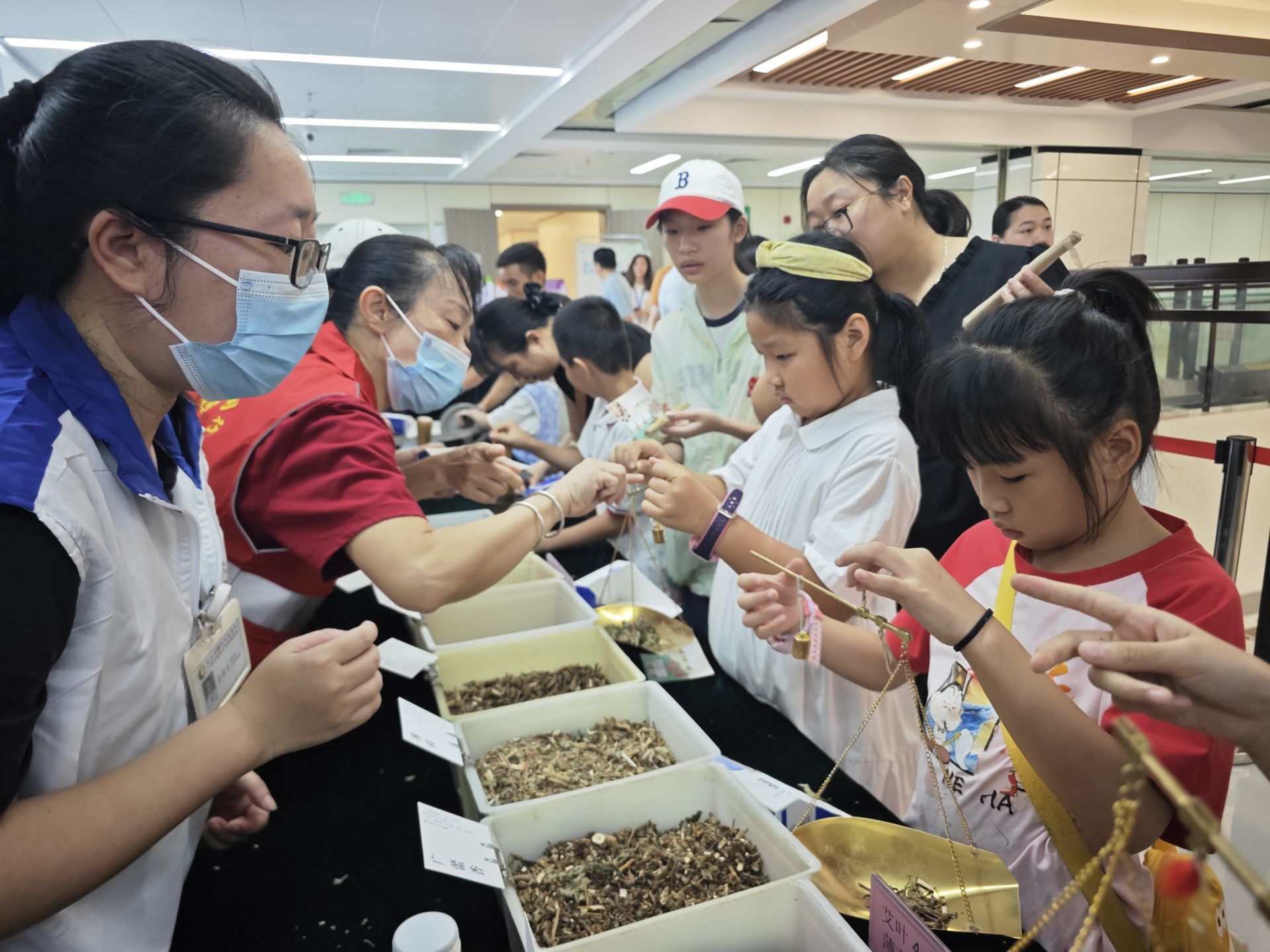 湛江市第二中医医院开展青少年中医药体验活动