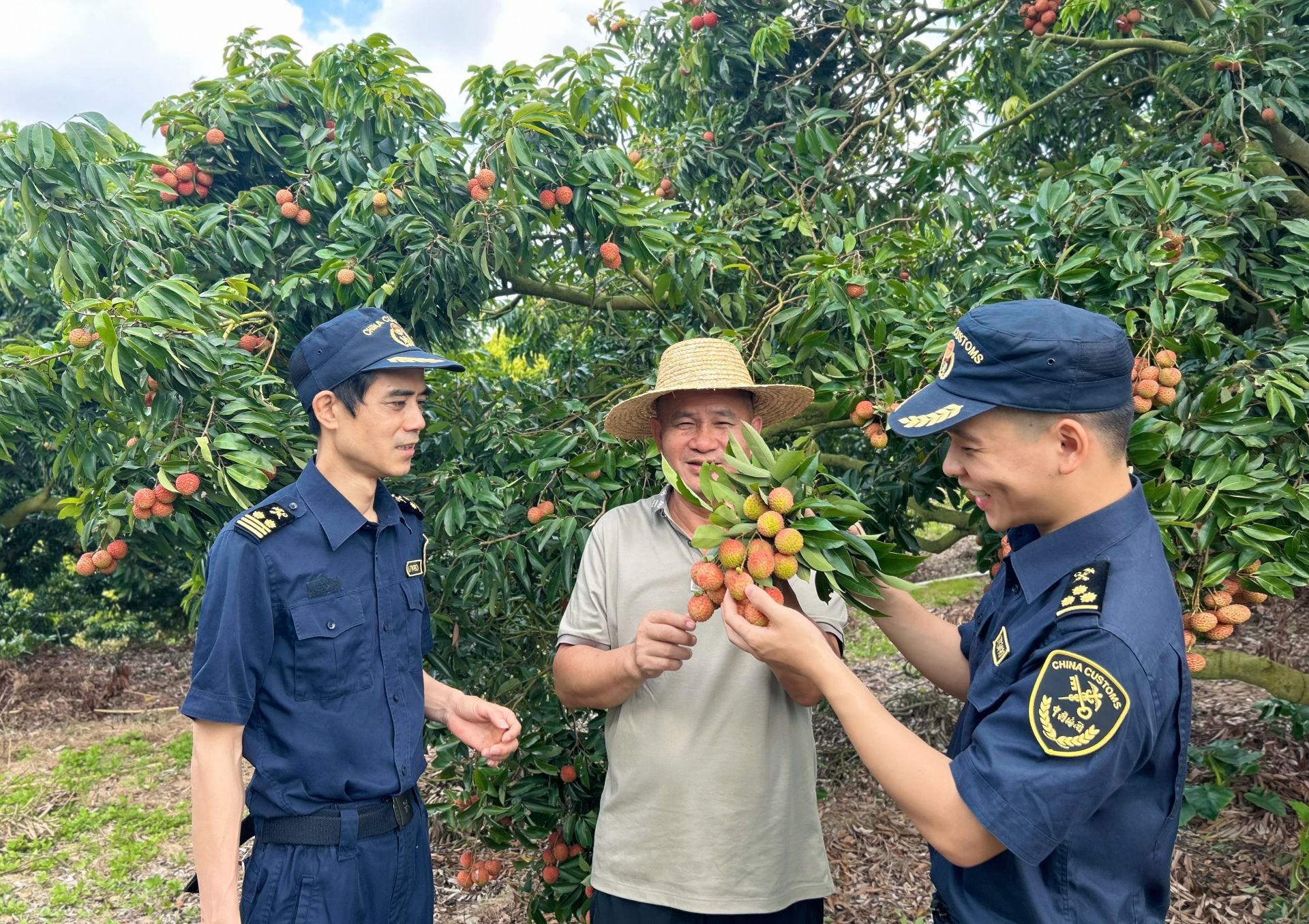 湛江荔枝出口季圆满收官 &nbsp;货值连续三年稳步攀升