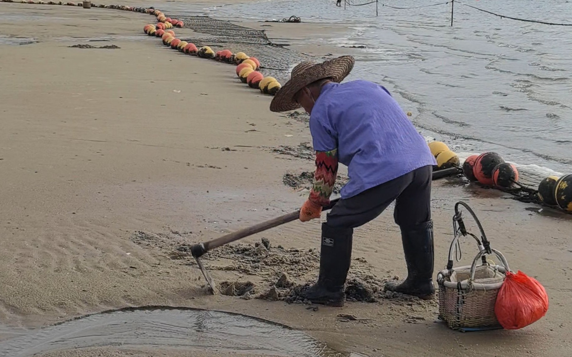 湛江生态持续向好 金沙湾海滩频现沙虫