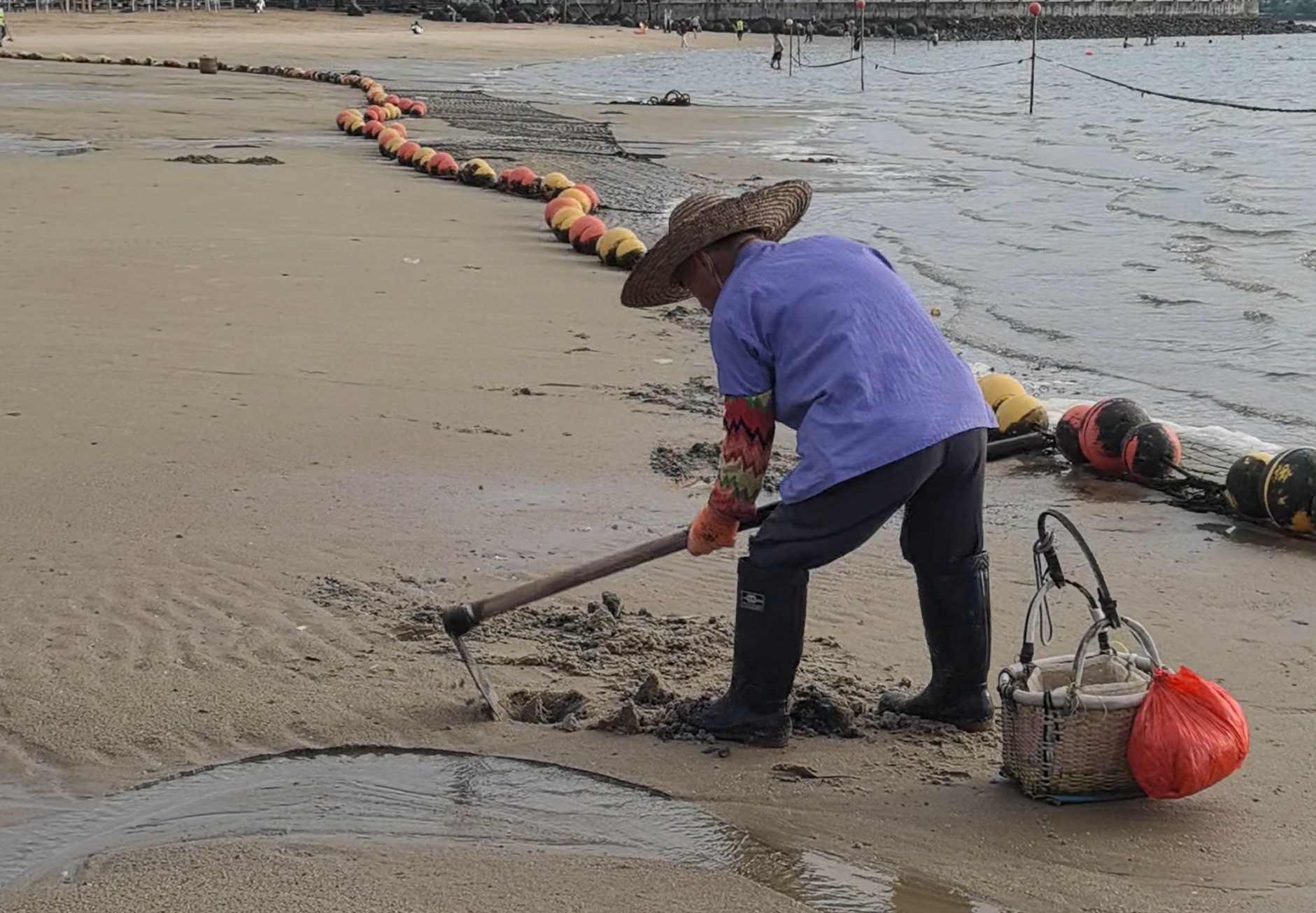 湛江生态持续向好 金沙湾海滩频现沙虫