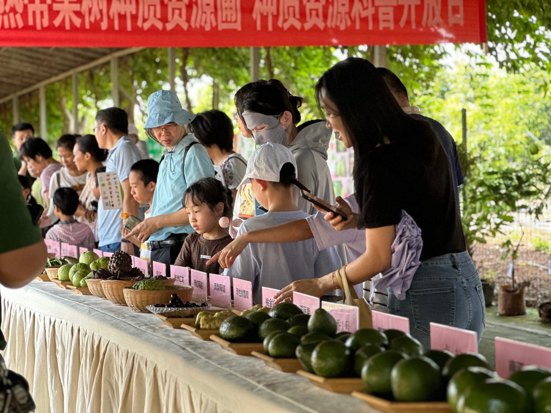 解锁种业奥秘！种质资源科普开放日活动举办