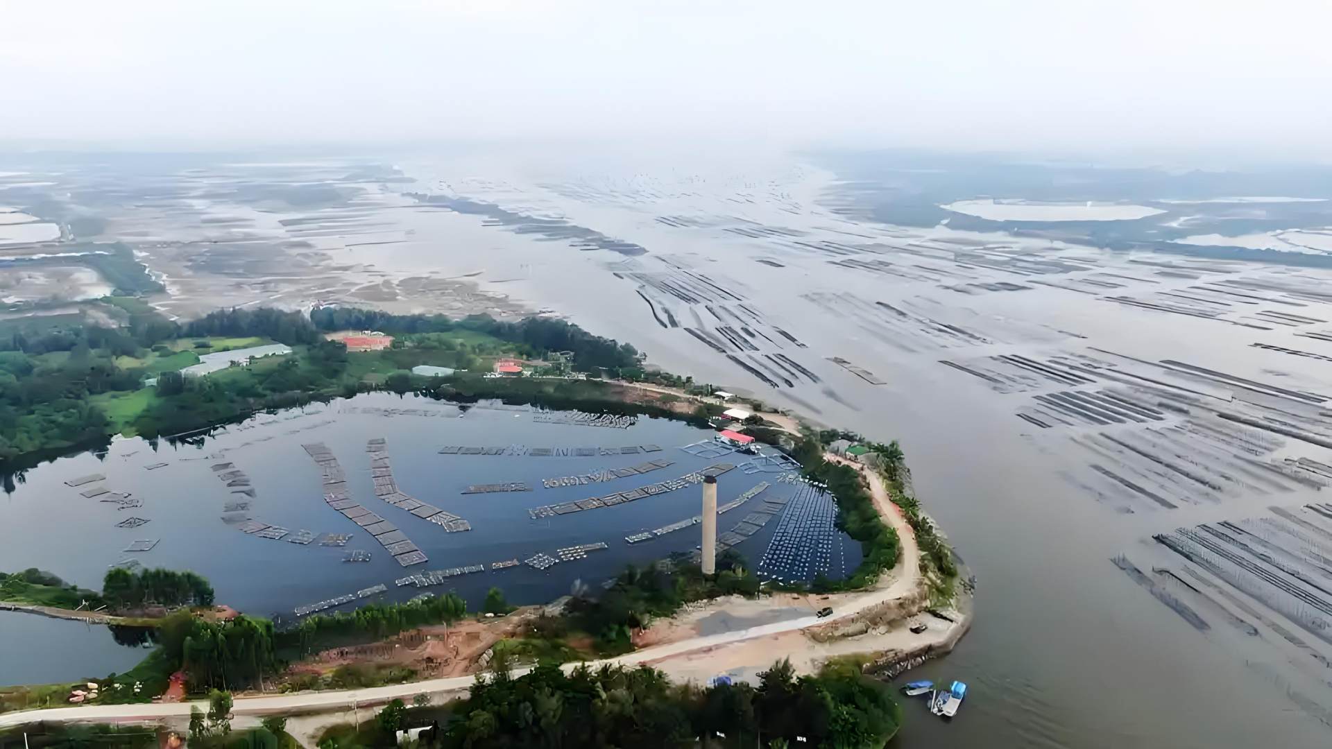 让湛江生蚝更“有种”！中国海油把实验室建在蚝田旁