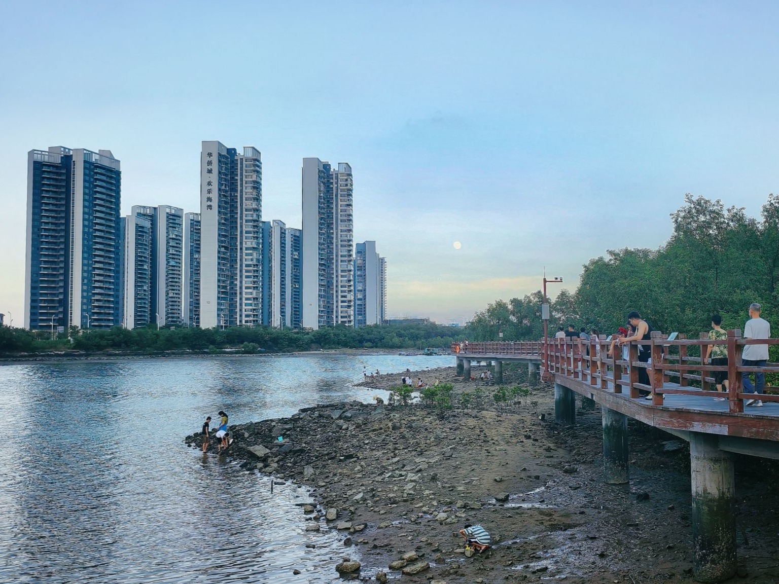中秋月圆，红树林畔赏良宵