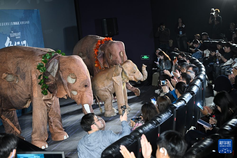 <span>纪录电影《象行记》在京首映</span>