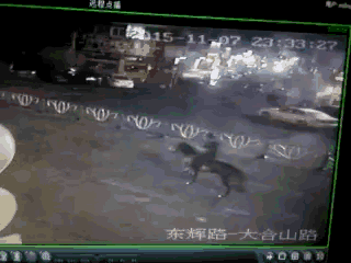 男子深夜酒后骑黑马逆行 连人带马被宝马撞飞
