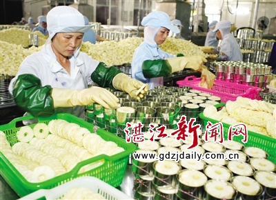 菠萝加工企业做强做大，增加附加值。