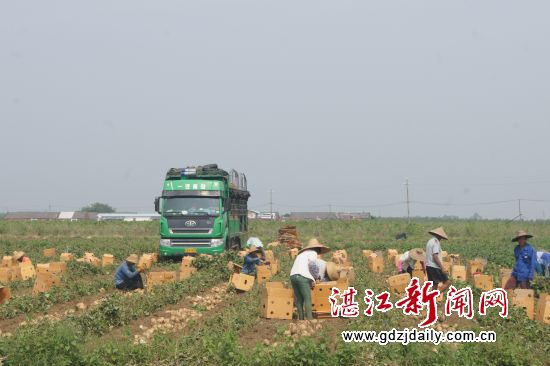 DSC00951